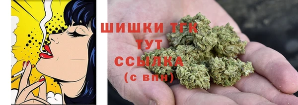 сатива Иннополис