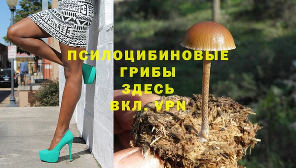 apvp Инсар