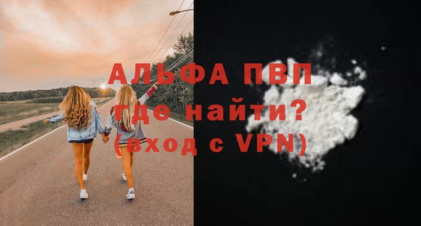 apvp Инсар