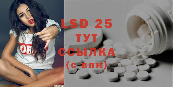 сатива Иннополис