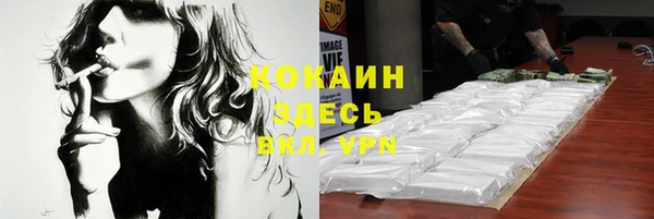 apvp Инсар