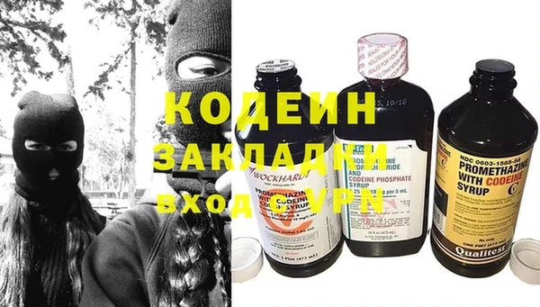 сатива Иннополис