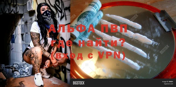 apvp Инсар