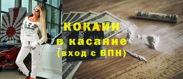сатива Иннополис