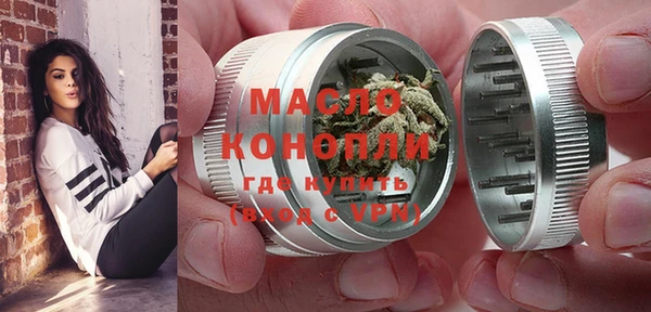 apvp Инсар