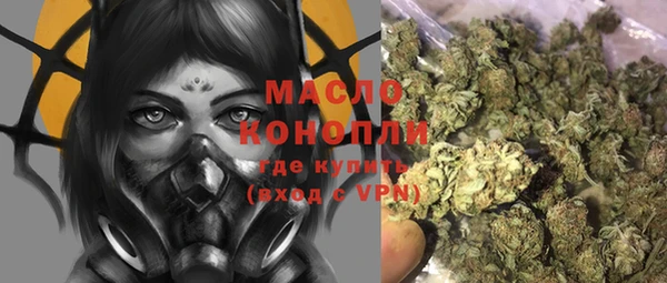 apvp Инсар