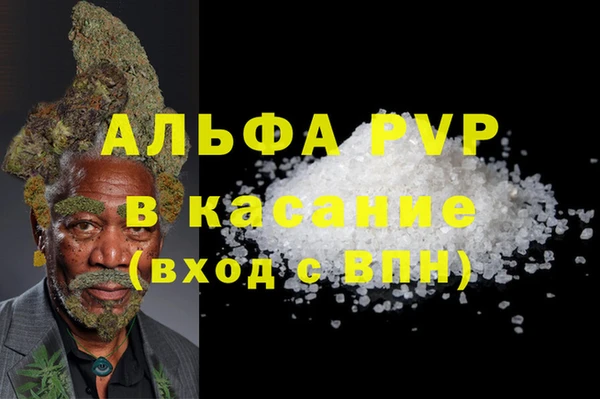 сатива Иннополис