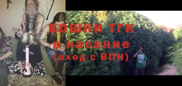 сатива Иннополис