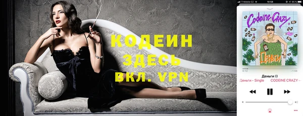 сатива Иннополис