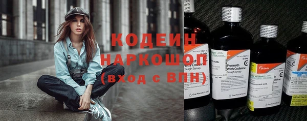 apvp Инсар