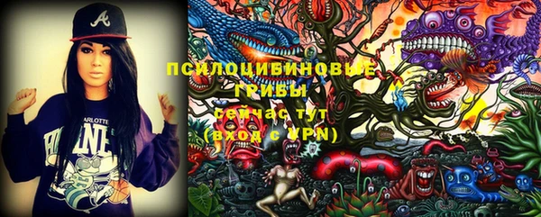 сатива Иннополис