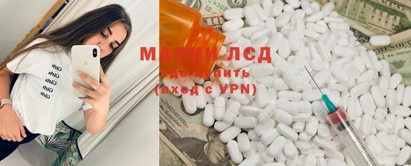 сатива Иннополис
