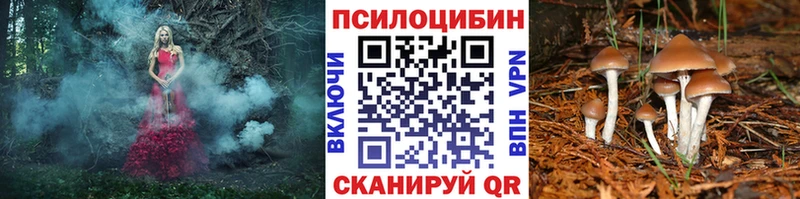 Псилоцибиновые грибы Cubensis  Купить где  Дзержинский 